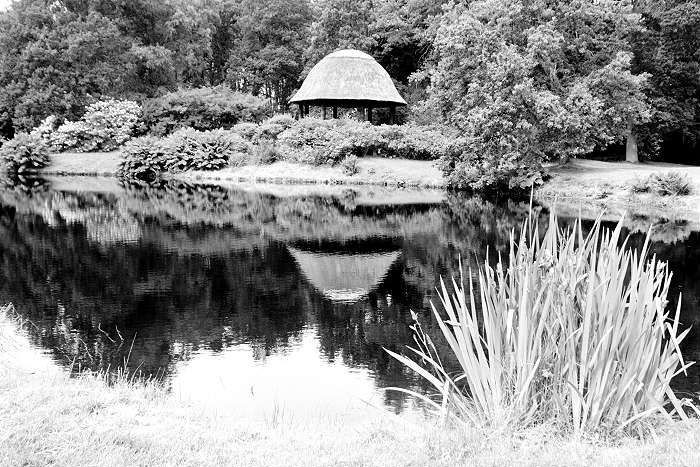 Lokation: Ostfriesland, Lütesburg Kategorien: Garten, Schwarzweiß, Datum: 13.07.2005