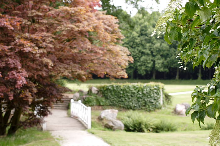 Lokation: Ostfriesland, Lütesburg Kategorien: Garten, Datum: 13.07.2005