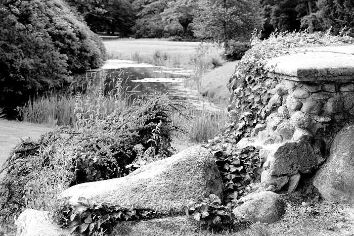 Lokation: Ostfriesland, Lütesburg Kategorien: Garten, Schwarzweiß, Datum: 13.07.2005
