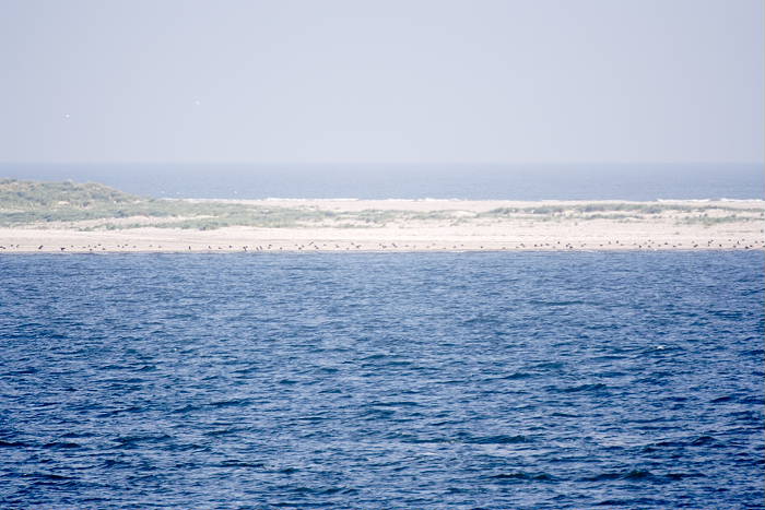 Lokation: Ostfriesland, Juist Kategorien: Meer, Datum: 18.07.2005