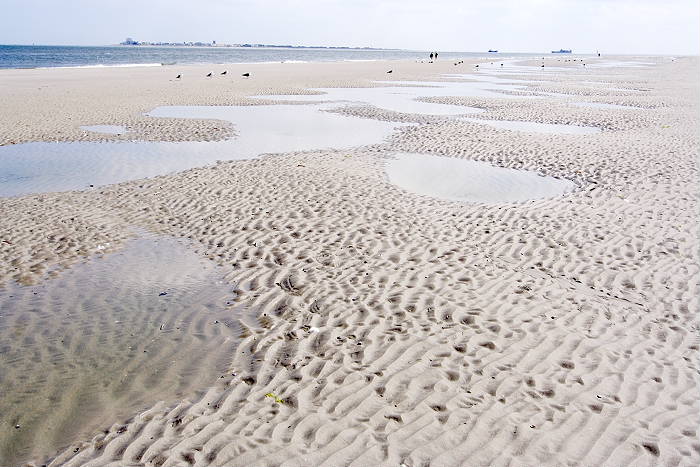 Lokation: Ostfriesland, Juist Kategorien: Strand, Datum: 18.07.2005