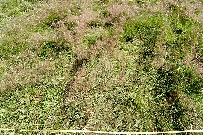 Kategorien: Dauerquadrat, Datum: 27.07.2005