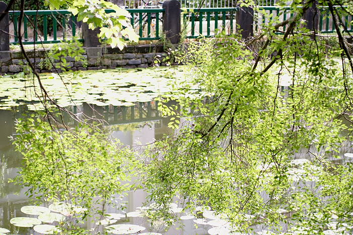 Lokation: Bonn, Botanischer Garten Kategorien: Gebäude, Park, Datum: 29.07.2005