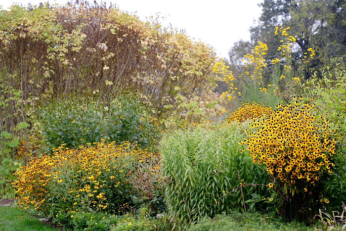 Lokation: Freising, Botanischer Garten Kategorien: Garten, Datum: 08.10.2005