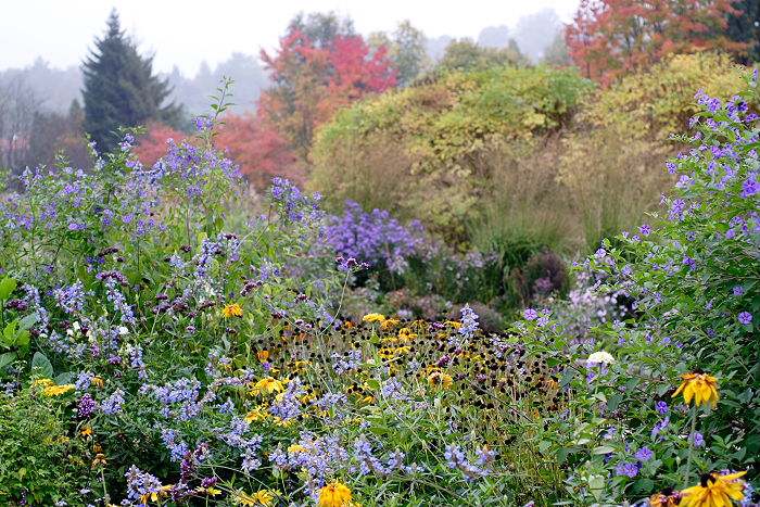 Lokation: Freising, Botanischer Garten Kategorien: Garten, Datum: 08.10.2005