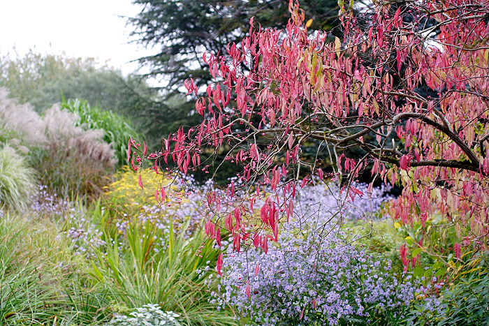 Lokation: Freising, Botanischer Garten Kategorien: Garten, Datum: 08.10.2005