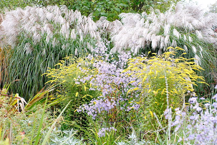 Lokation: Freising, Botanischer Garten Kategorien: Garten, Datum: 08.10.2005