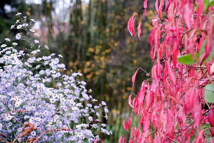 Lokation: Freising, Botanischer Garten Kategorien: Garten, Datum: 08.10.2005