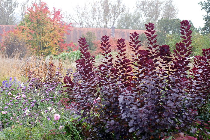 Lokation: Freising, Botanischer Garten Kategorien: Garten, Datum: 08.10.2005