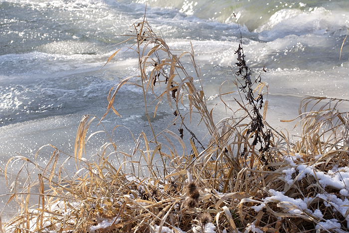 Lokation: Bad Neuenahr Kategorien: Fluss, Datum: 29.01.2006