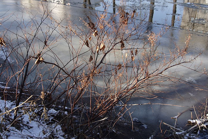 Lokation: Bad Neuenahr Kategorien: Fluss, Datum: 29.01.2006