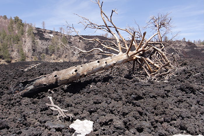 Lokation: Sizilien, Ätna Kategorien: Geologie, Datum: 15.04.2006
