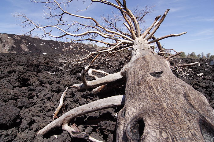 Lokation: Sizilien, Ätna Kategorien: Geologie, Datum: 15.04.2006