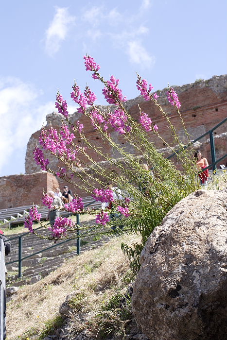 Lokation: Sizilien, Taormina Kategorien: Habitus, Denkmal, Datum: 19.04.2006