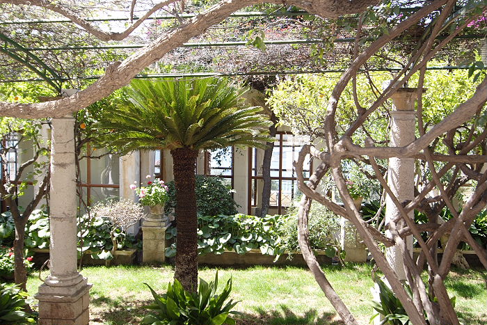 Lokation: Sizilien, Taormina Kategorien: Garten, Datum: 19.04.2006