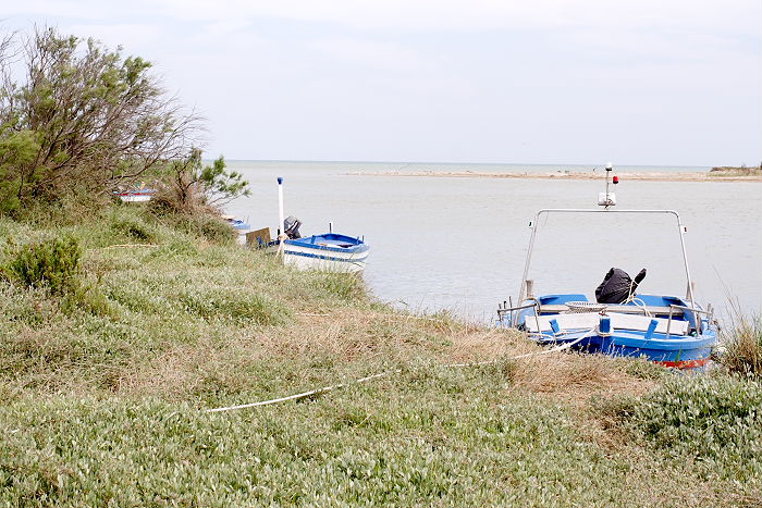 Lokation: Sizilien, Oasi del Simeto Kategorien: Fluss, Datum: 19.04.2006