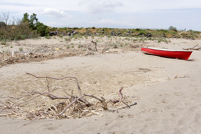 Lokation: Sizilien, Oasi del Simeto Kategorien: Strand, Datum: 19.04.2006
