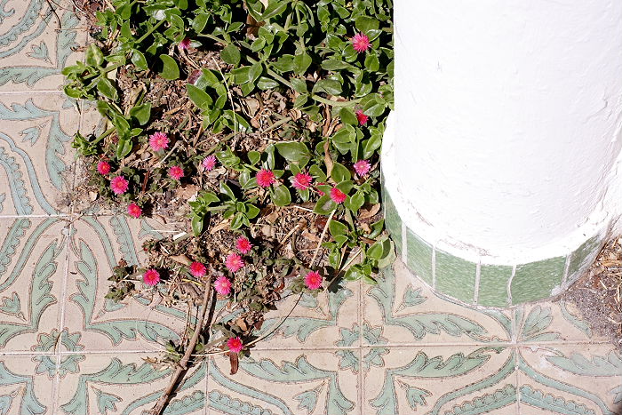 Lokation: Sizilien, Salina Kategorien: Dorf, Datum: 20.04.2006