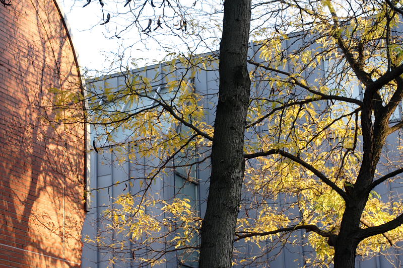 Kategorien: Datum: 06.10.2007