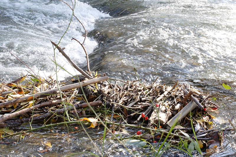 Kategorien: Datum: 07.10.2007