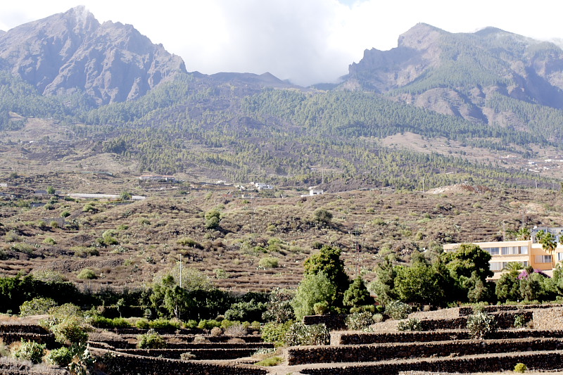 Kategorien: Datum: 26.11.2007