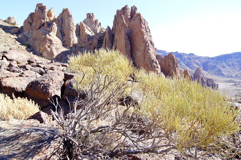 Canadas, Lokation: Spanien | Canarias | Villaflor | Canadas Kategorien: Datum: 27.11.2007