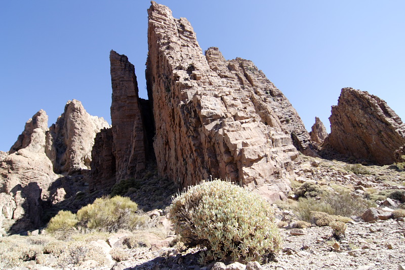 Canadas, Lokation: Spanien | Canarias | Villaflor | Canadas Kategorien: Datum: 27.11.2007