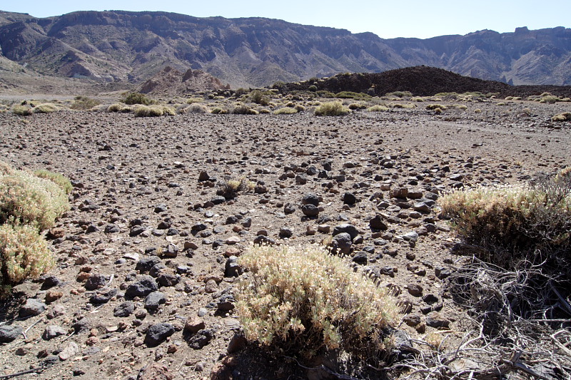 Canadas, Lokation: Spanien | Canarias | Villaflor | Canadas Kategorien: Datum: 27.11.2007