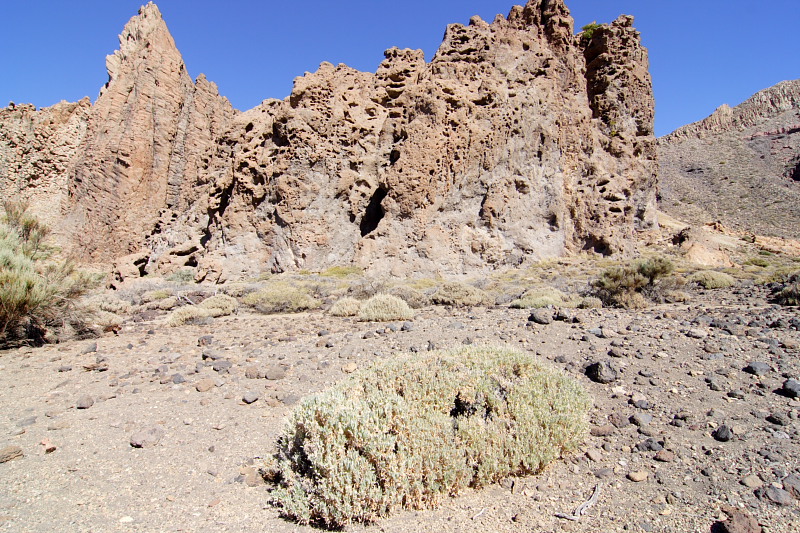 Canadas, Lokation: Spanien | Canarias | Villaflor | Canadas Kategorien: Datum: 27.11.2007