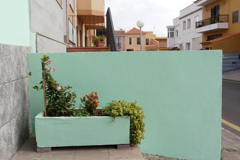 La Laguna, Lokation: Spanien | Canarias | La Laguna | La Laguna Kategorien: Datum: 28.11.2007