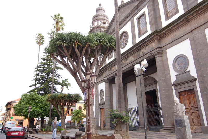 La Laguna, Lokation: Spanien | Canarias | La Laguna | La Laguna Kategorien: Datum: 28.11.2007