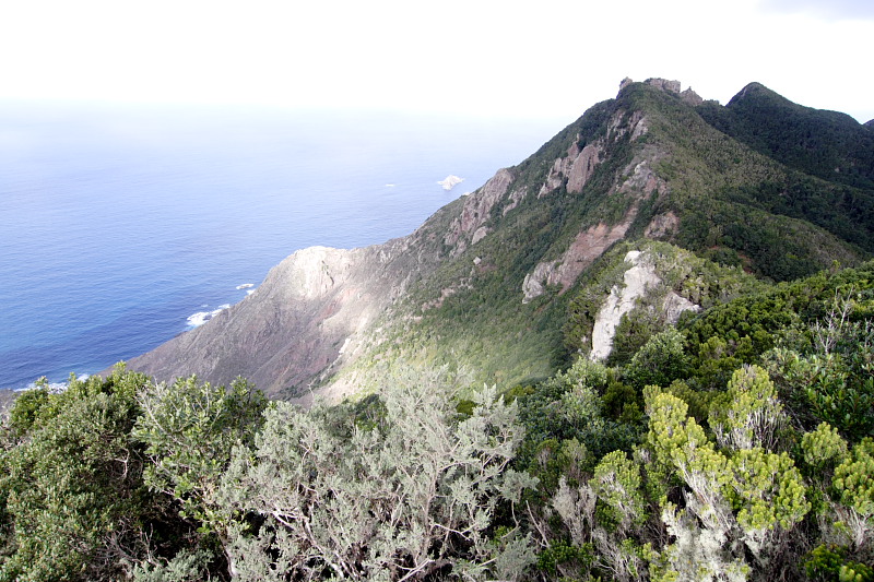 Lokation: Spanien | Canarias | El Draguillo | El Draguillo Kategorien: Datum: 01.12.2007