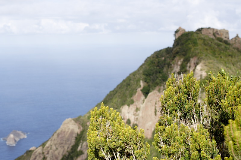 Lokation: Spanien | Canarias | El Draguillo | El Draguillo Kategorien: Datum: 01.12.2007