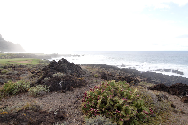 Lokation: Spanien | Canarias | Buenavista Del Norte | Tanque Kategorien: Datum: 02.12.2007