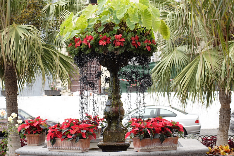 Lokation: Spanien | Canarias | Casa Amarilla | Garachico Kategorien: Datum: 03.12.2007