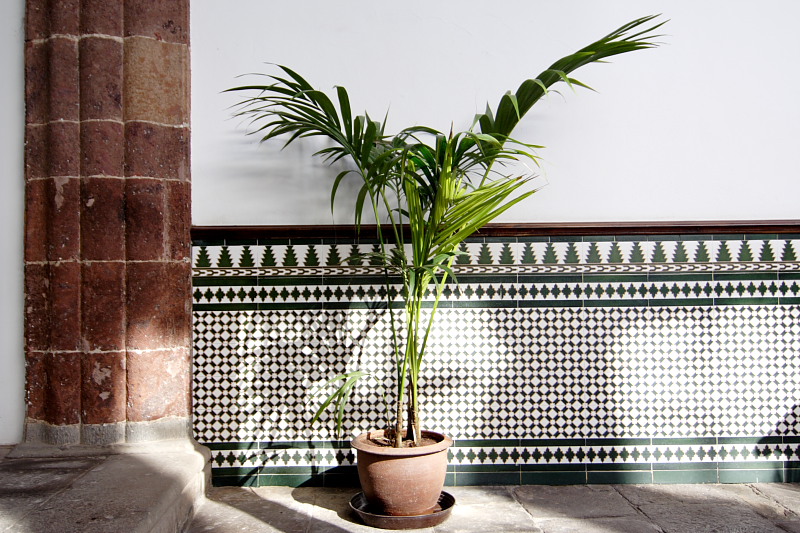 Kategorien: Datum: 07.12.2007