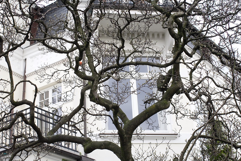 Lokation: Deutschland | Hamburg | Hamburg | Harvestehude Kategorien: Datum: 04.02.2008