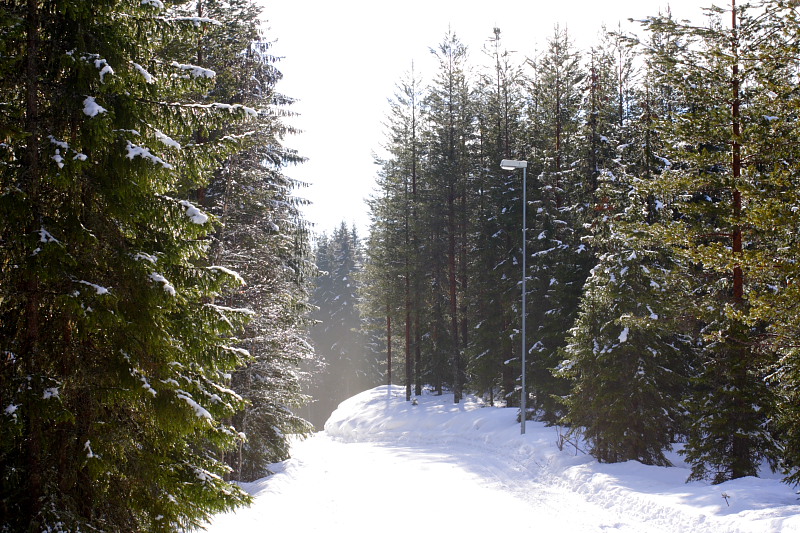 Lokation: Norwegen | Hedmark | Arneberg | Harby Kategorien: Datum: 27.02.2008