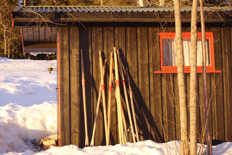 Lokation: Norwegen | Hedmark | Arneberg | Harby Kategorien: Datum: 27.02.2008