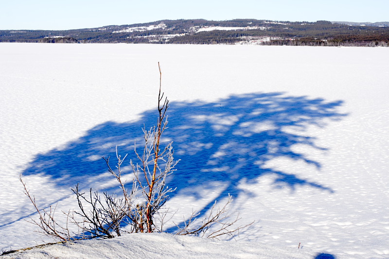Lokation: Norwegen | Hedmark | Arneberg | Arneberg Kategorien: Datum: 28.02.2008