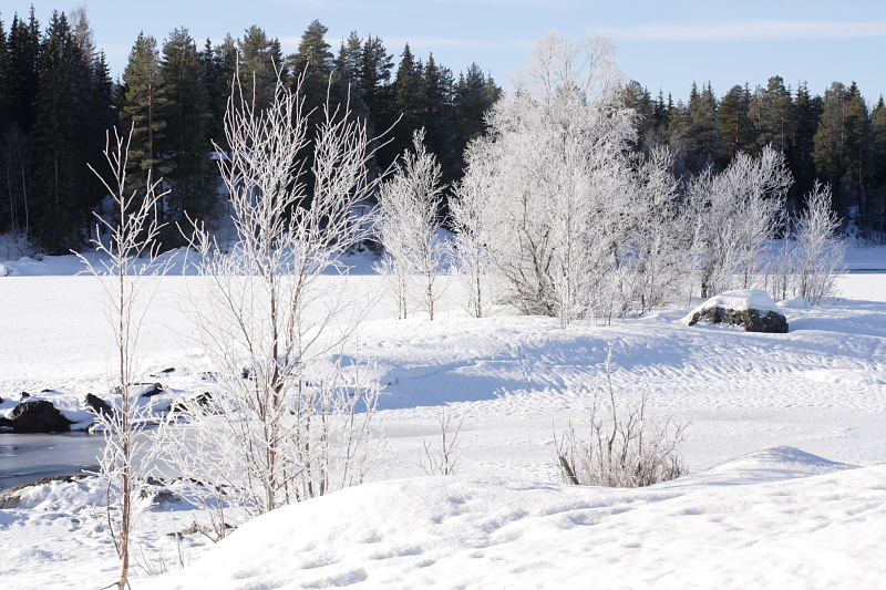 Lokation: Norwegen | Hedmark | Arneberg | Arneberg Kategorien: Datum: 28.02.2008