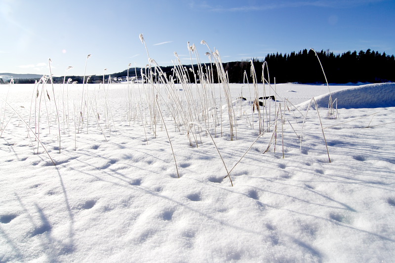 Lokation: Norwegen | Hedmark | Arneberg | Arneberg Kategorien: Datum: 28.02.2008
