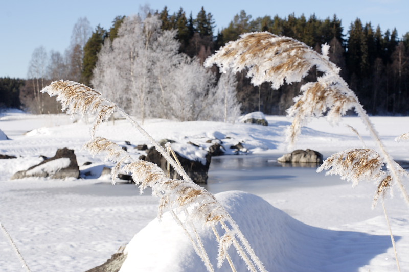 Lokation: Norwegen | Hedmark | Arneberg | Arneberg Kategorien: Datum: 28.02.2008