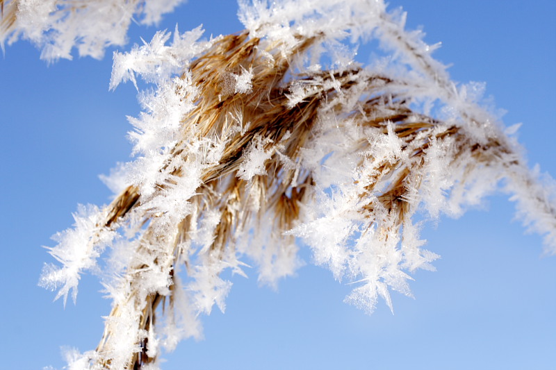 Lokation: Norwegen | Hedmark | Arneberg | Arneberg Kategorien: Datum: 28.02.2008