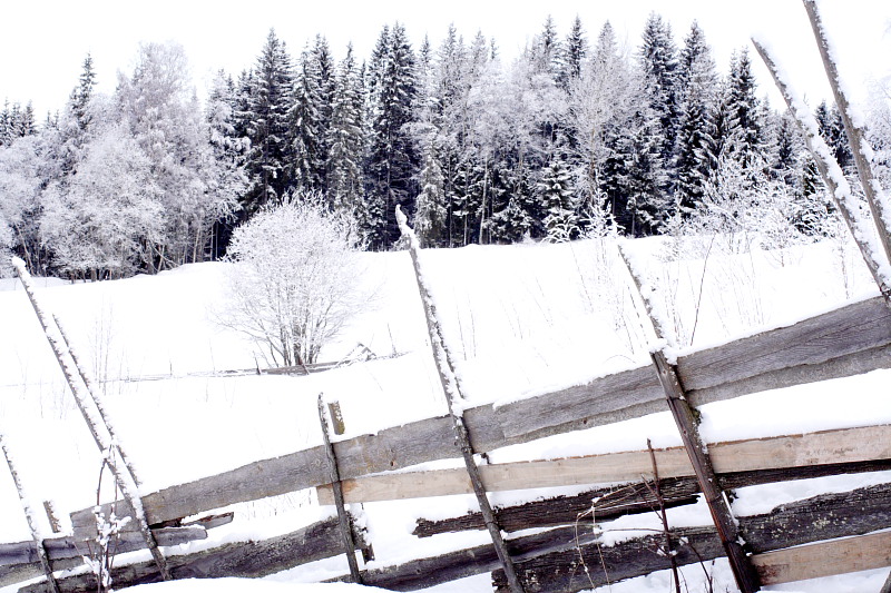 Lokation: Norwegen | Hedmark | Arneberg | Harby Kategorien: Datum: 02.03.2008