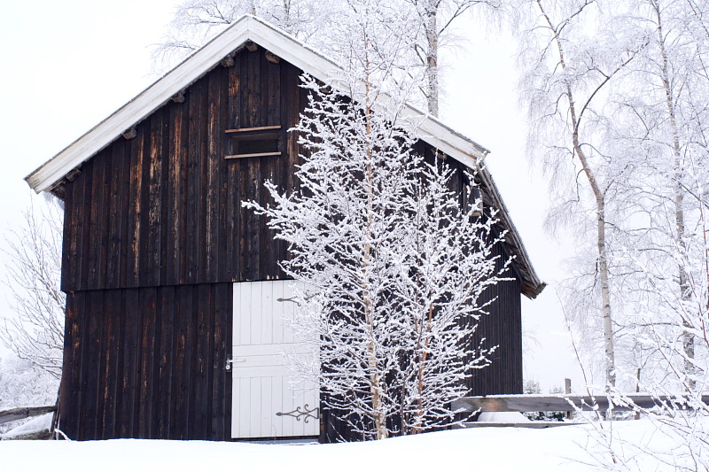 Lokation: Norwegen | Hedmark | Arneberg | Harby Kategorien: Datum: 02.03.2008