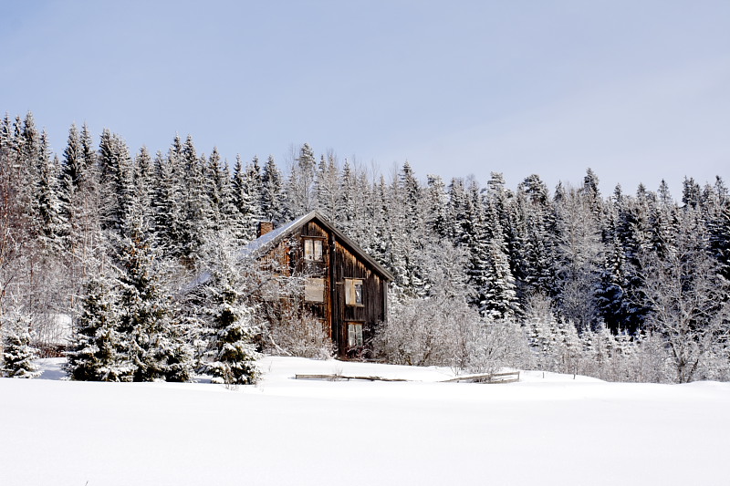 Lokation: Norwegen | Hedmark | Arneberg | Harby Kategorien: Datum: 02.03.2008