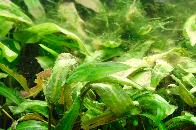 Kategorien: Datum: 14.05.2008