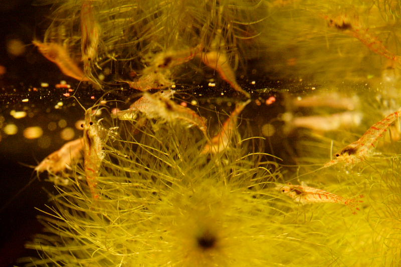 Kategorien: Datum: 28.05.2008