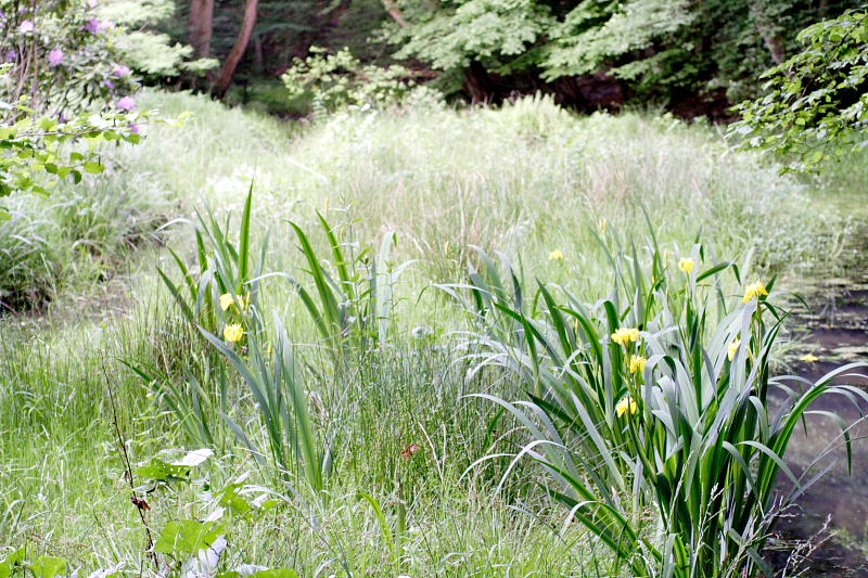 Kategorien: Datum: 28.05.2008